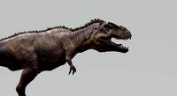 Giganotosaurus with Animation