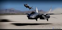 F-14 stealth concept