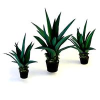 Agave - Game-ready Agave 3d model