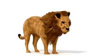 lion lowpoly
