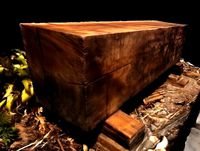 sawed log - Tronco aserrado