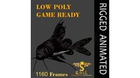 Animated Cat Fish - Loop Animation with 1160 Frames