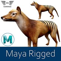 Tasmanian tiger