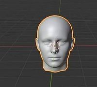 Human Head