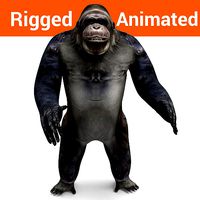 3D model gorilla Rigged and Animation