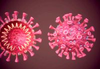 COVID-19 coronavirus-19 virus microorganism model