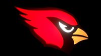 Cardinals NFL football logo