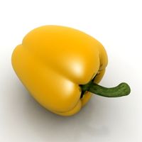 Pepper 3D Model