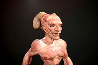 Fawn 3D
