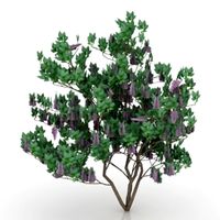 Bush 3D Model