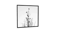 Quadro Birds and Tree - Ammo Quadros