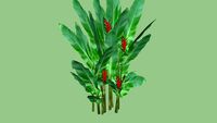 Heliconia Bihai (Pisang2an-modificada)