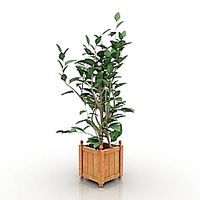 Flower 3D Model