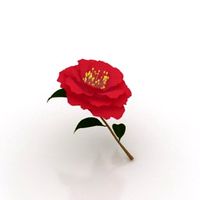 Flower 3D Model