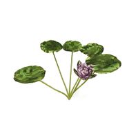 Plant 3D Model
