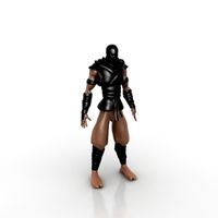 Ninja 3D Model