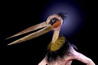 Bird mutant