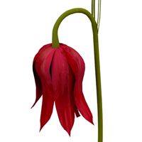 Flower 3D Model