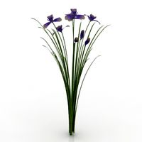 Flower 3D Model