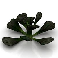 Plant 3D Model