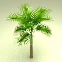 Palm Tree 3D Model