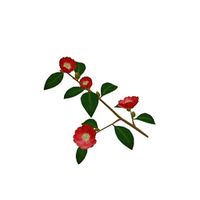 Twig 3D Model