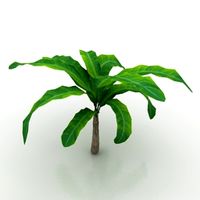 Palm 3D Model