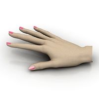 Hand 3D Model