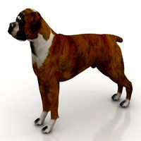 Dog 3D Model