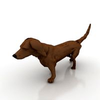 Dog 3D Model