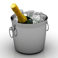 Bottle 3D Model