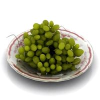Plate 3D Model