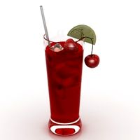 Glass 3D Model