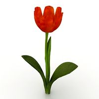 Flower 3D Model