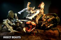 Insect beasts
