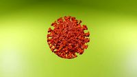 virus corona covid