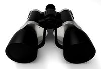 Binocular with lens plugs