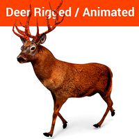 Deer rigged animated model model