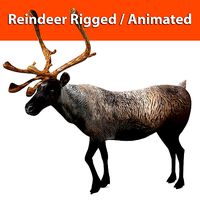 Reindeer Rigged  Animated model 3D