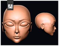 basic head model