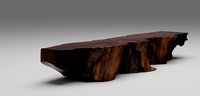 Chista Root table dead-tree wooden coffee table