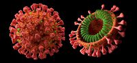 Corona virus COVID-19