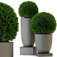 Plants collection 327