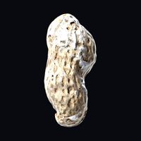 Roasted Peanut shell B