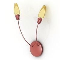 Sconce 3D Model