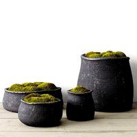 Crosshatch Concrete Vessel Collection With Moss