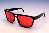 Sunglasses Model 2