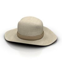 Hat 3D Model