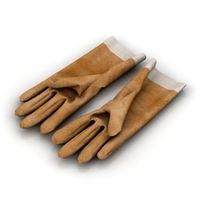 Gloves 3D Model