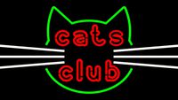 NEON CAT SIGN